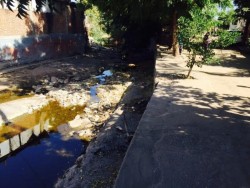 Denuncian falta de limpieza en canal que divide a las colonias 21 de marzo y Zapata ha disparado los casos de dengue
