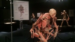 Asombrosa exposición de cuerpos humanos en Mazatlán