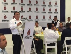 Autoridades se dividirán el trabajo para combatir el mosco Aedes Egipty