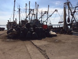 Se llena de basura el muelle pesquero.
