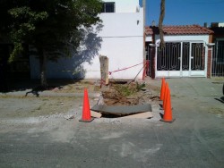 Comienzan trabajos para tapar tunel de casa del "Chapo" Guzman