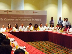 Destinara gobierno federal, 4,200 mdp para apoyar proyectos de mujeres