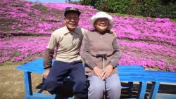La entrañable historia de amor que atrae a cientos de turistas a una granja familiar de Japón