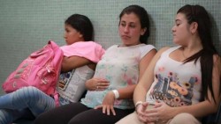 OMS: Aumentan evidencias que apuntan a vínculo entre zika y microcefalia