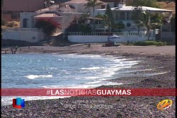 Playas de Guaymas y San Carlos, aptas para su uso: Control Sanitario