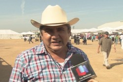 Piden rondines los ganaderos ante robo de sus animales