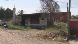 En colonia Independencia piden limpieza de lotes baldíos