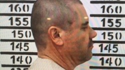 "El Chapo" se declararía culpable en EU a cambio de beneficios