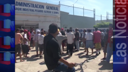 Apoyos de empleo temporal no se deben de detener por proceso electoral