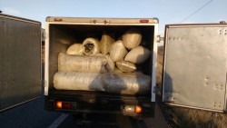 Casi media toneladas de marihuana decomisa PF en Chihuahua