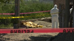 Por pleito de un cerco matan a mujer en el Nuevo San Miguel