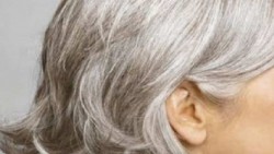 Identifican gen vinculado al encanecimiento