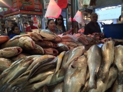 Ventas regulares reportan locatarios del Mercado Garmendia en los pescados y mariscos