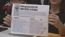 Arman jóvenes del PRD expediente de entrega de firmas a favor del uso lúdico de la marihuana
