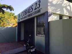 Afecta problema de pulgas al COBAES 23, ubicado en la colonia Ruíz Cortinez