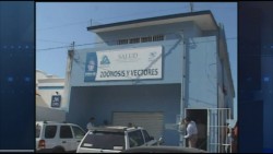 Trabajadores de Vectores y Zoonosis continúan realizando paro laboral