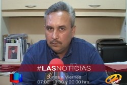 Esperan fecha para captura de medusa bola de cañón