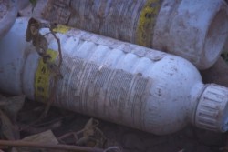 En Sinaloa, mas de 150 tons. de envases vacios de agroquimicos no son acopiados