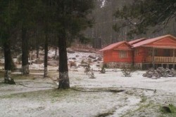 Se registran nevadas y caida de aguanieve en Surutato en la sierra de Badiraguato