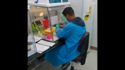 OMS: Vacunas contra zika pueden llegar tarde para brote en Latinoamérica