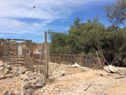 Denuncian regidores invasión de áreas de mangle en el  Estero de Urias.