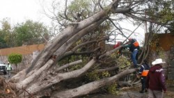 Condiciones del clima seguirán por 48 horas: Protección Civil