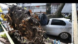 Protección Civil: Cinco muertos y 35 heridos, tras 48 horas de mal tiempo