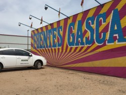 PROFEPA decomisa animales por presunto maltrato en circo.