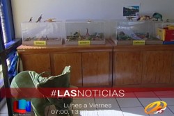Invitan a talleres infantiles