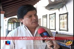 Avistamiento de especies marinas, atrae turismo a Guaymas: OCV