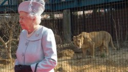 Isabel II inaugura una nueva guarida de leones en el zoo de Londres