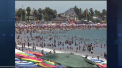 Buenas expectativas para el periodo de semana santa en Mazatlán