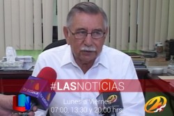 No es grave el problema de la Roya Lineal o Amarilla