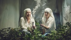 Monjas cultivan marihuana y venden sus productos medicinales por internet