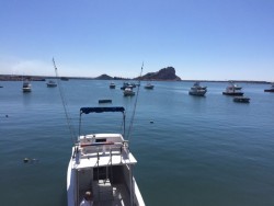 Buena semana para la pesca deportiva.