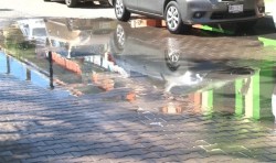 Fuga de aguas negras provoca encharcamientos en primer cuadro de la ciudad.