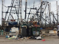 Lleno de basura el muelle del Parque Bonfil.