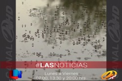 Solo 23 casos de dengue confirmados