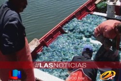 Sin fecha para arrancar con la captura