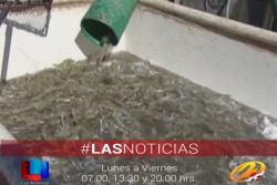 Entra en vigor el horario de verano