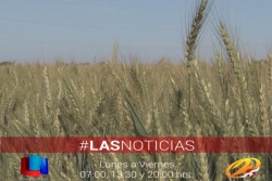 Es un problema AGROASEMEX