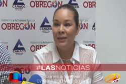 Ambulantaje impacta al comercio organizado