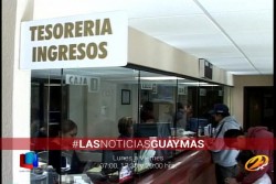 Responden contribuyentes