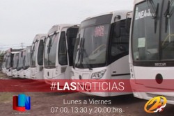 Llegan nuevos camiones al servicio urbano