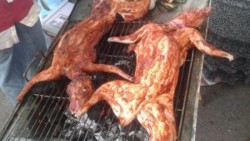 Asegura Profepa siete ejemplares silvestres cocinados en una feria de Hidalgo