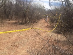 Rastreadoras encuentran restos humanos en San Blas