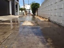Fuga de agua en la colonia Burócrata