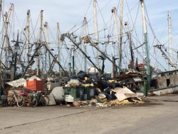Sigue sucio el muelle pesquero del Parque Bonfil