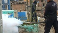 Declaran emergencia sanitaria en Perú por el dengue