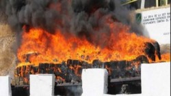 Incineran 6 toneladas de droga en Michoacán